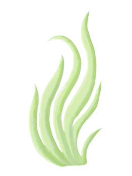 Underwater seaweed hand drawn pastel watercolor illustration png