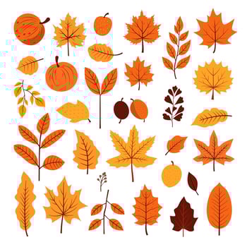 Collection set of Autumn fall leaves decoration element, flat style illustration. vector