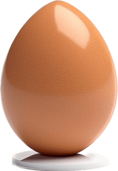 Egg with . png