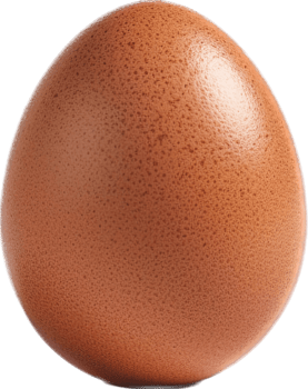 Egg with . png