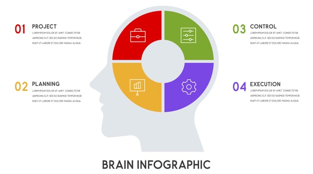 Business concept 4 options or steps vector