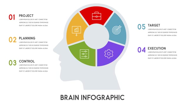 Business concept 5 options or steps vector