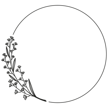 Hand Drawn Leaf Wreath png