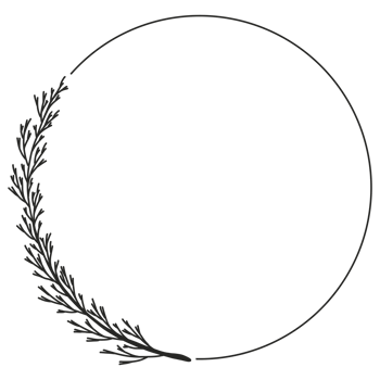 Hand Drawn Leaf Wreath png