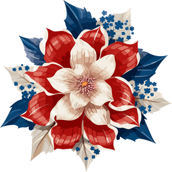 An illustration, a patriotic USA flower, png