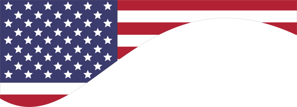 Independence day element flag icon PNG