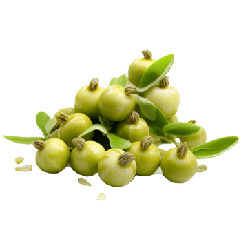 fresh green olives png