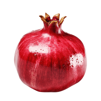 Pomegranate Punica granatum pomegranate transparent background png