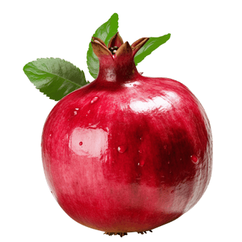 Pomegranate Punica granatum pomegranate transparent background png