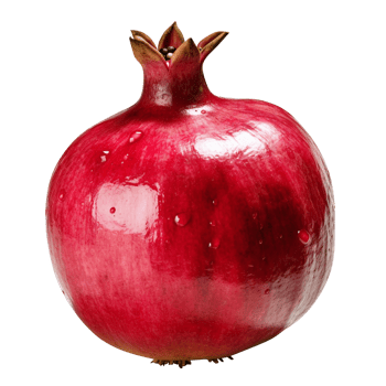 Pomegranate Punica granatum pomegranate transparent background png