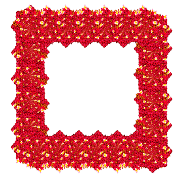 design shape pattern flower frame png