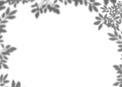 Leaves shadow overlay, isolated Tropical Branches leaves silhouette frame border png