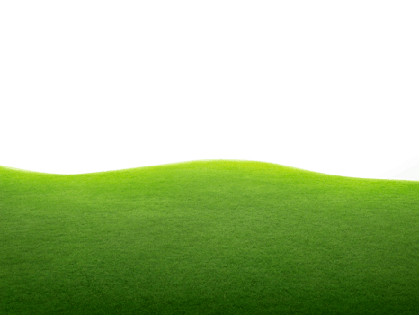 green grass field, transparent background png