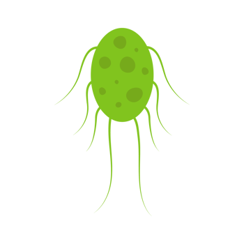 Flat Virus, germ and bacteria, microorganism type and super bug illustration. png