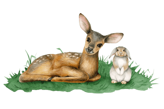Baby deer and bunny rabbit on green grass watercolor illustration of cute forest woodland animals for stickers and nursery kids designs png