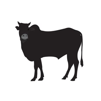 Silhouettes cow victor art vector