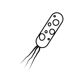 Virus, germ and bacteria, microorganism type and super bug icon. png
