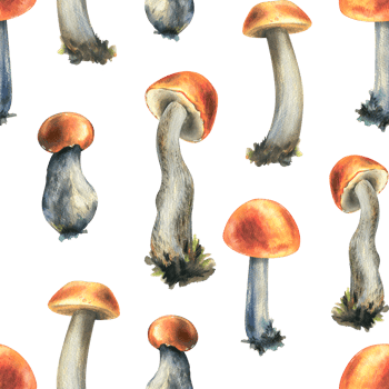 Forest edible boletus mushrooms with orange caps. Watercolor illustration, hand drawn. Seamless pattern for the design of packaging, fabric, textile, wallpaper png