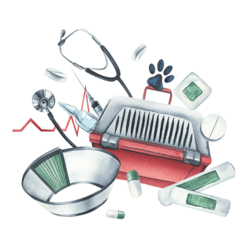 Veterinary equipment. Watercolor illustration. . For the design and decoration of clinics, hospitals, first-aid posts, pharmacies for animals. Horizontal composition png