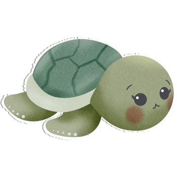 Lovely little turtle png