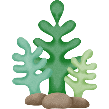 Lovely sea creature png