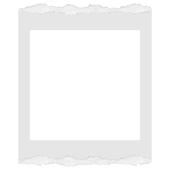 Photo frame with ripped edges on transparent background png