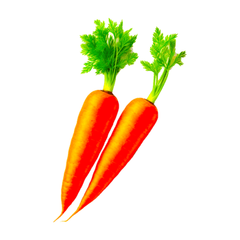 carrots png transparent generative ai