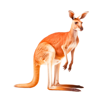 Kangaroo Papo Toy Macropods Figurine, kangaroo png