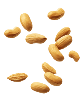 Falling peanuts isolated on transparent background, png