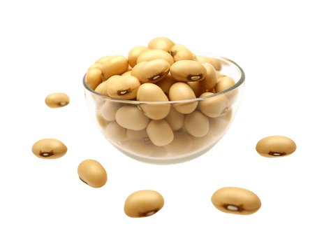 Soybeans in a bowl isolated on transparent background, png