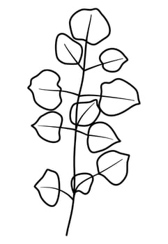 line art leaves botanical illustration vector