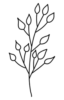 line art leaves botanical illustration vector