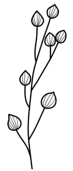 line art leaves botanical illustration vector