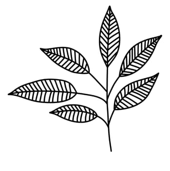 line art leaves botanical illustration vector