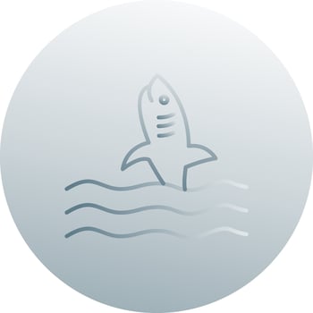 Dangerous Shark Vector Icon