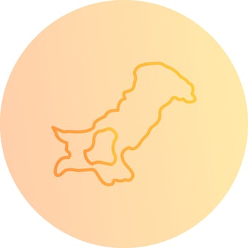 Map Vector Icon
