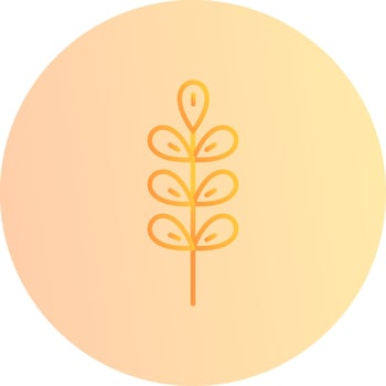 Barley Vector Icon