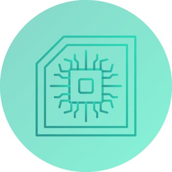 Chip Vector Icon