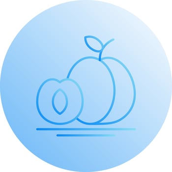 Apricot Vector Icon