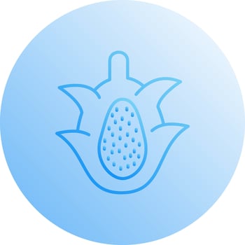 Dragon Fruit Vector Icon