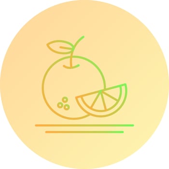 Orange Vector Icon