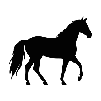 Beautiful Horse Silhouette - png
