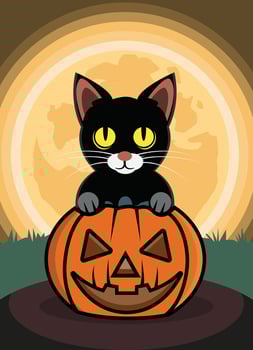 Halloween pumpkin with cat vector