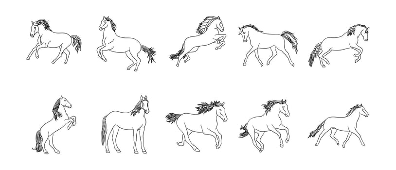 Horse Outline Illustration Vector Set