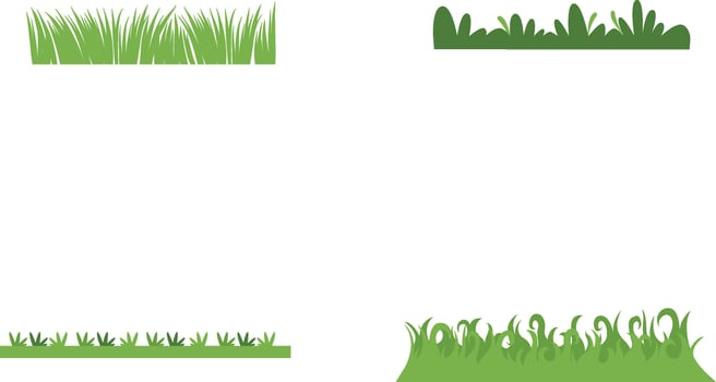 Grass leaves illustration vector icon. Cartoon grass leaf icon vector illustration for design decoration and illustration.Vector Pro