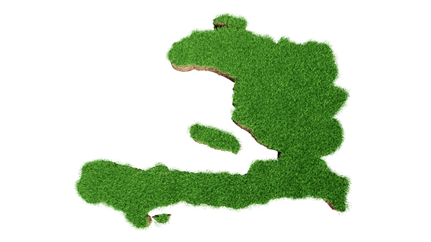 Haiti Map Grass and ground texture 3d illustration png