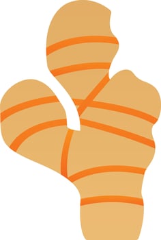 Ginger Vector Icon Design