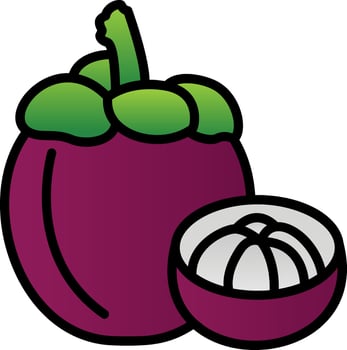 Mangosteen Vector Icon Design