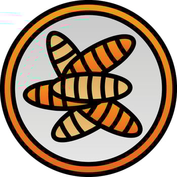 Tua mai that Vector Icon Design
