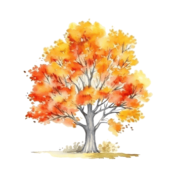 Watercolor Autumn Tree. Illustration png
